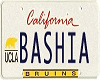 {SH} Bashia License