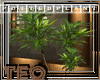 [TeQ]Cl.Mah Potted Plant
