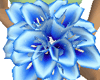 [DML] Blue Maid Lilies