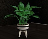 ~SL~ RSE Plant v2