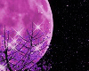 **Purple Moon**