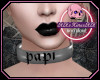 [💀]Papi Collar Gray