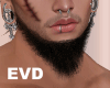 EVD Black Beard