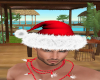 [L] Xmas Hat