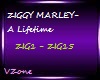 ZIGGY MARLEY-A Lifetime