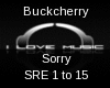 BUCKCHERRY SORRY