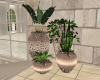 xN! Zoara Vases