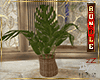 zZ Wedding Vase Plant M