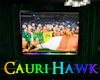 StPatricks Day Sports TV