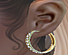 Earrings 5