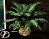 Large Plant Gold Pot