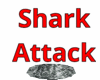 Shark Attack Action!!!