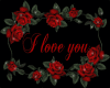 I love you roses