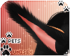 [Pets] Zorro | ears v1