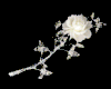 Sticker White Rose