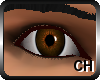 [CH] Brown Eyes (M)