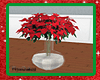 Poinsettias in a Vase A