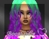 ~BL~SpringDipV2