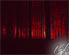 [L4]Red Forest