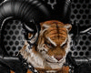 Tiger Warrior G (M)