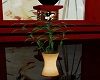 Geisha Amore Bamboo