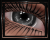 !T! Eyes | Ozias G