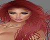 HAIR -RUIVO-REDHEAD 1014