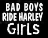 biker-harley- BaddBoys