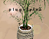 450C Palm Plant