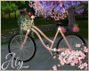 Blossom Bike