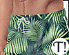 T! Loreto Beach Shorts