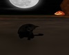 Black Cat V1