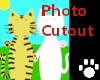 Kitty Photo Cutout
