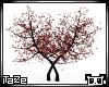 -T- Bleeding Lovers Tree