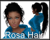 Rosa Hair