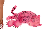 pink leopard