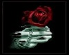 Red Rose Gothic poster