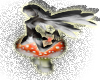 magic mushroom