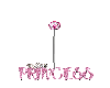 Swinging Pink princess