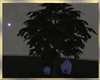 Dark Forest Tree