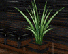 [FW] ModEl plant refl