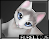 Cute Cat