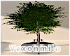 Tree Seat