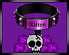 Kitten Collar F