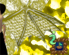 Golden Dragon Wings