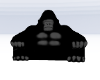 Rosa's ApE CoucH