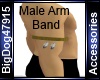 [BD] Male Arm Band