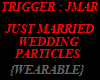 JUST MARRIED PARTICLES