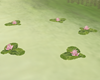 Floating Lillypad