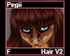 Pegii Hair F V2